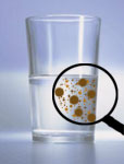 tapglass